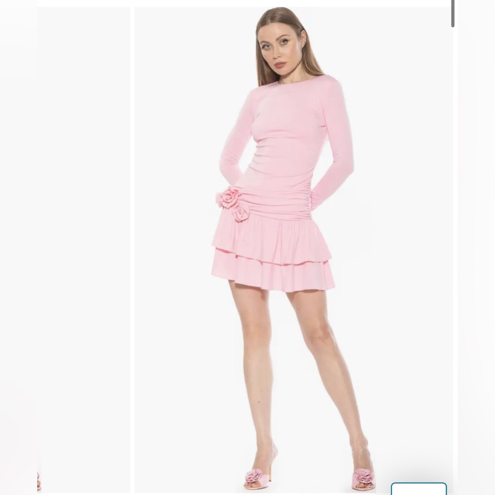 Alexia Admor Pink Long Sleeve Dress like new only worn once ladies size small 💕🌸
